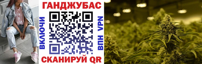Купить закладку ЭКСТАЗИ  Alpha-PVP  Меф мяу мяу  Кокаин  ГАШИШ  Псилоцибиновые грибы  Ветлуга